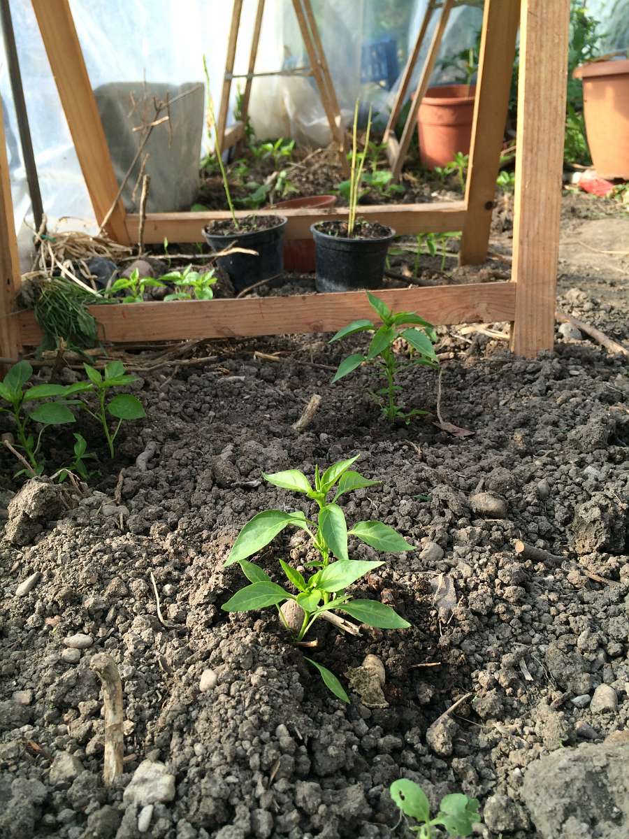 2014-04-17 17-02-16.JPG